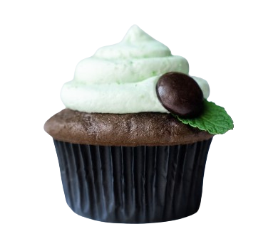 Chocolate mint bliss